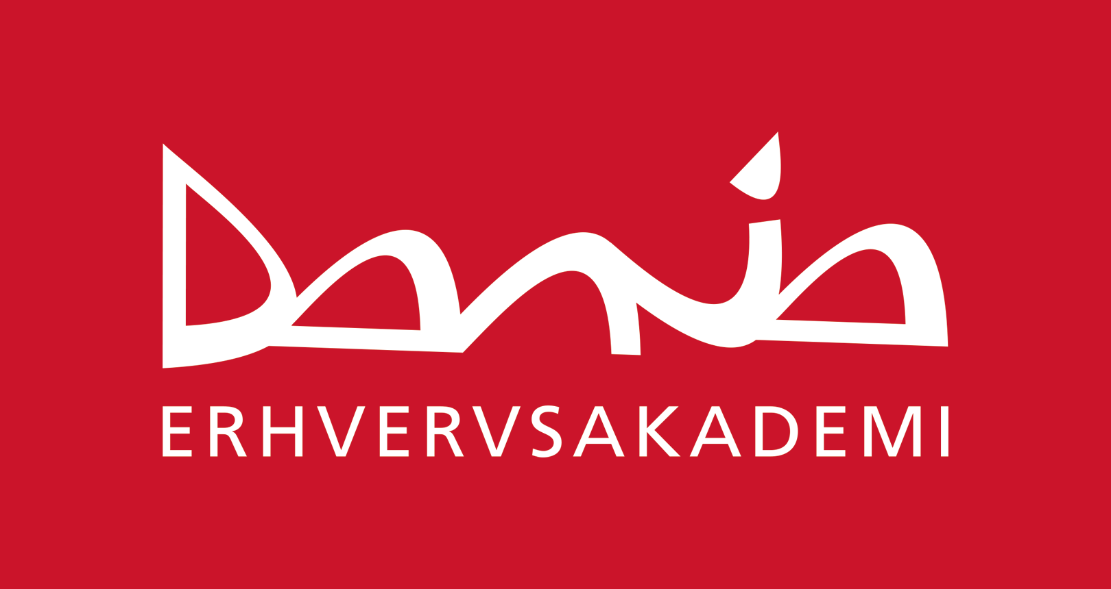 Erhvervsakademi Dania, Silkeborg